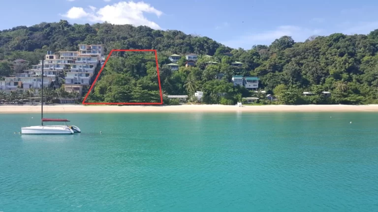 Site img (1)
